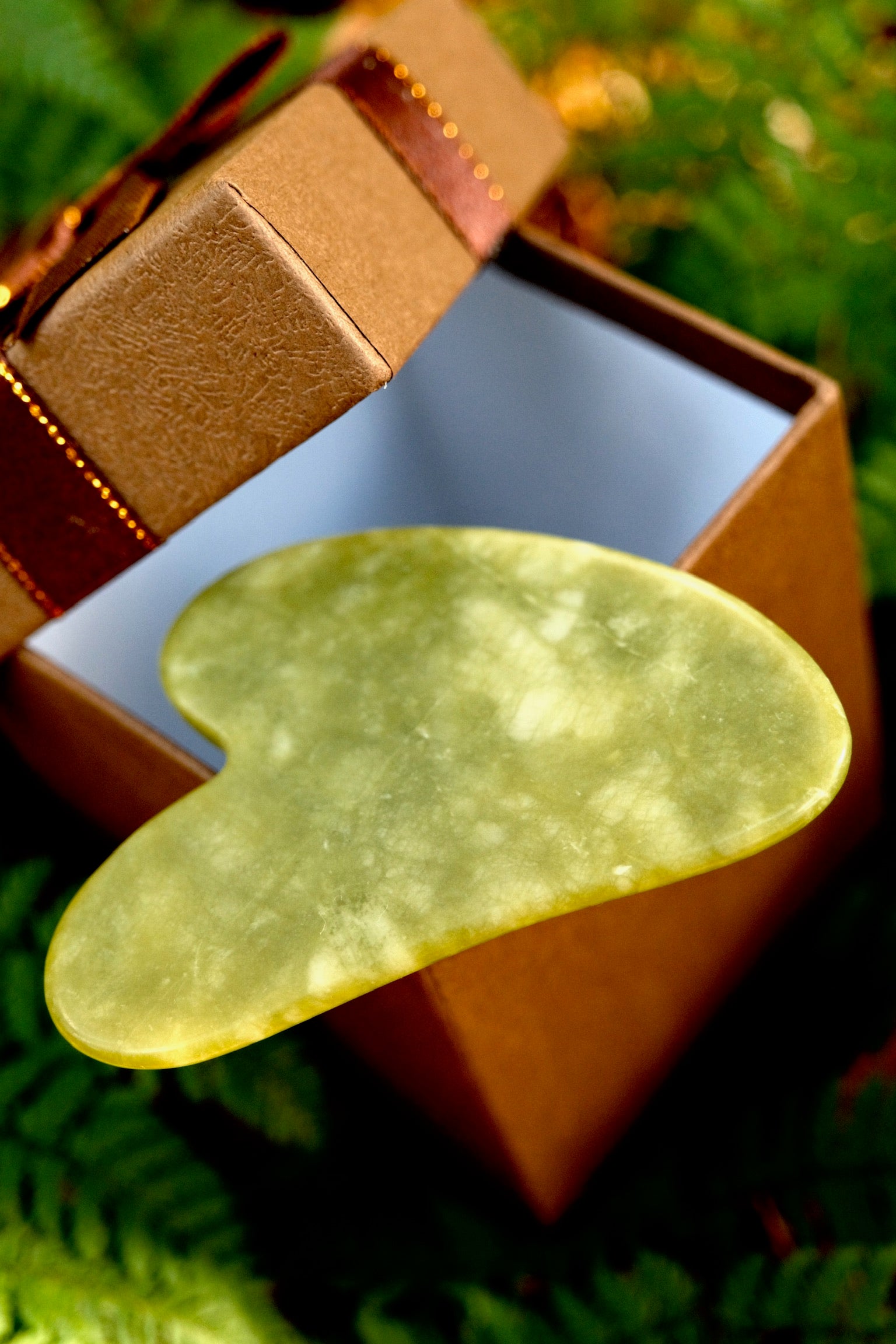 Duo Crème & Sérum Édition des Fêtes !