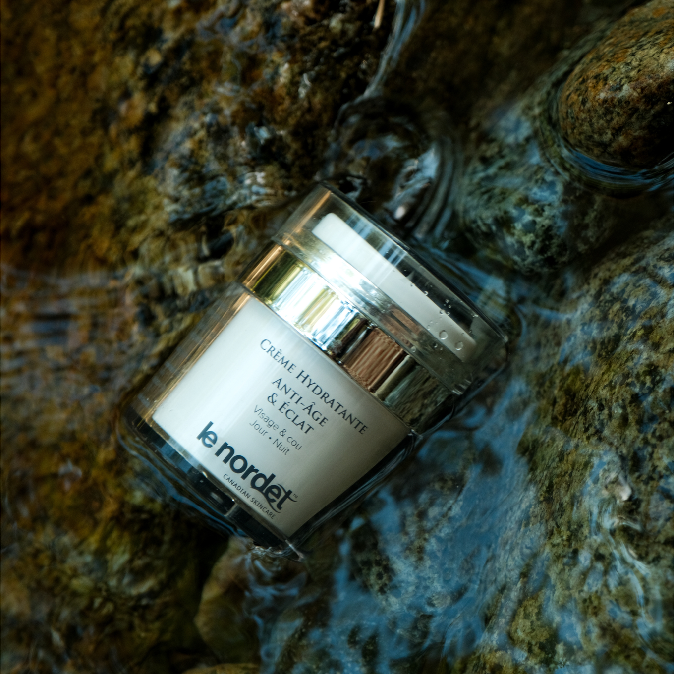 Crème Hydratante Anti-Âge et Éclat  (50ml)